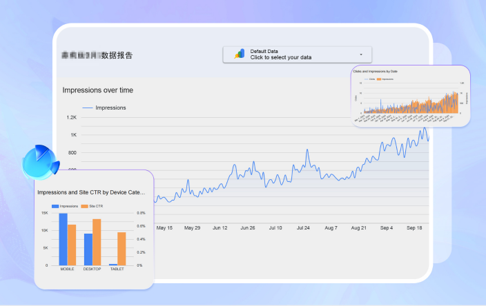 data report